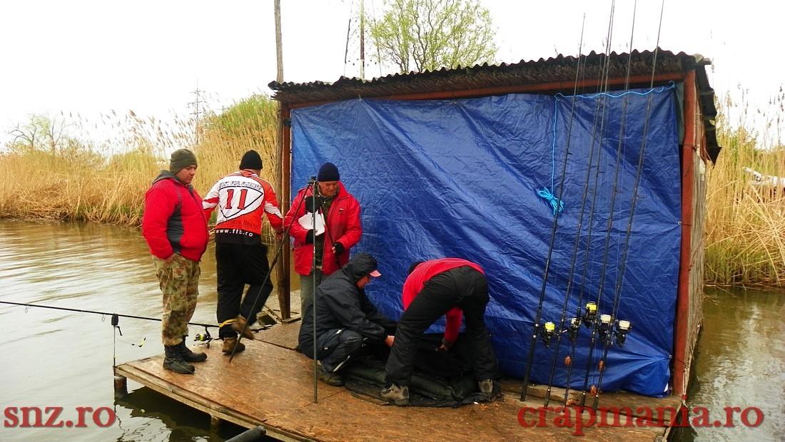 GREENFISH 2 - 1000449.jpg